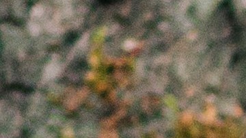 La actividad física es vital para una mejor salud. / Foto: Freepik.