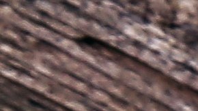 La ciencia no está clara de las facultades de los alimentos fermentados