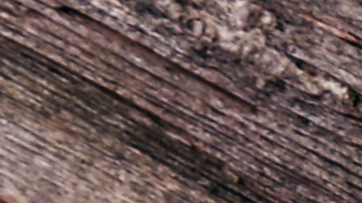 La ciencia no está clara de las facultades de los alimentos fermentados