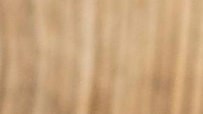 día de san patricio