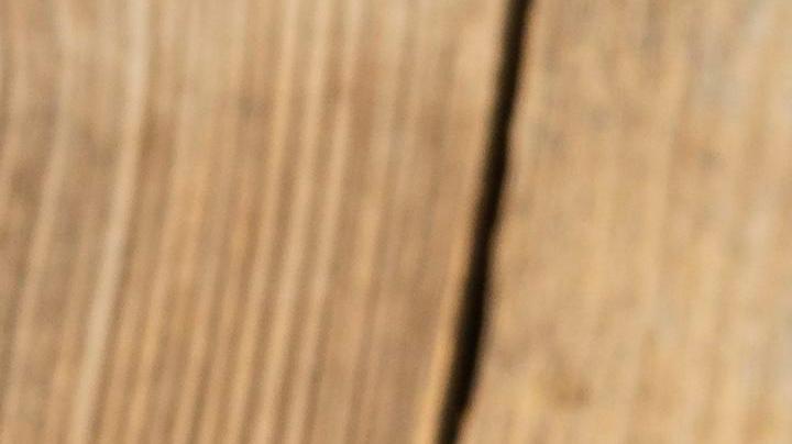 día de san patricio