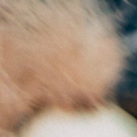 Los vegetales verdes son ricas en fibra y ayudan a tener una mejor flora intestinal y prevenir enfermedades