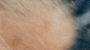 Los vegetales verdes son ricas en fibra y ayudan a tener una mejor flora intestinal y prevenir enfermedades