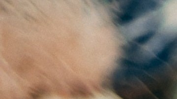 Los vegetales verdes son ricas en fibra y ayudan a tener una mejor flora intestinal y prevenir enfermedades