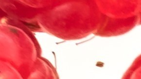 La cetona es un compuesto presente en la frambuesa roja. / Foto: Life For Stock - Freepik.