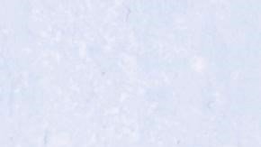 Comer este alimento dos veces a la semana reduce la aparición de enfermedades cardiovasculares. / Foto: Freepik.