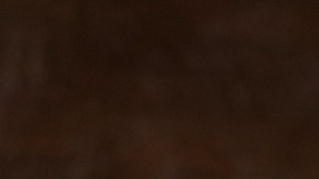 cerveza y rendimiento físico