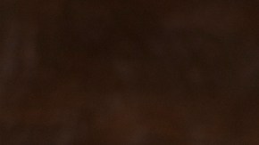 cerveza y rendimiento físico