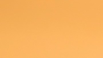 La proteína animal tiene nutrientes importantes para los huesos. / Foto: Jcomp - Freepik.