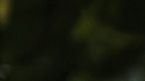 Cómo el calor extremo puede afectar a la salud de las personas mayores