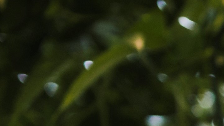 Cómo el calor extremo puede afectar a la salud de las personas mayores