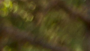 Cómo un estilo de vida saludable en los hombres puede reducir en un 50% el riesgo de sufrir cáncer de próstata letal