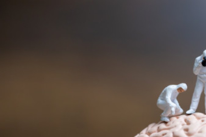 cerebro de hombres y mujeres