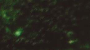 La carne roja y pollo no es tan dañina como se pensaba.