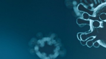 mutacion coronavirus