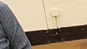 Los efectos que las vacunas contra el Covid podrían tener en las mujeres, según expertos