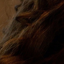 sexo