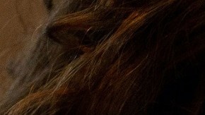 sexo