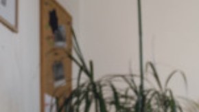 bajar de peso después del parto