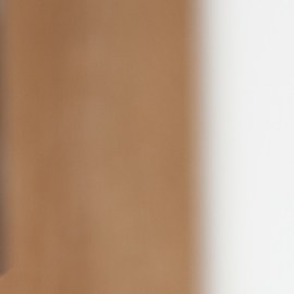 La ex de mi esposo lo manipula