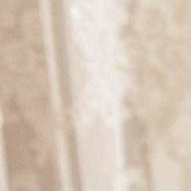 Comer en familia podría prevenir los trastornos de la conducta alimentaria y la obesidad en los adolescentes