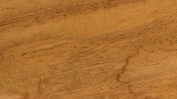 pasaporte de vacunas