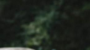 día de la madre sin tu mamá