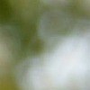 ¿Practicar mindfulness te puede hacer una persona egoísta?