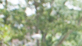 Lo bueno y lo malo de ser padre o madre soltera