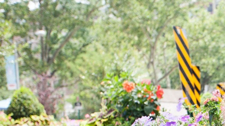 Lo bueno y lo malo de ser padre o madre soltera