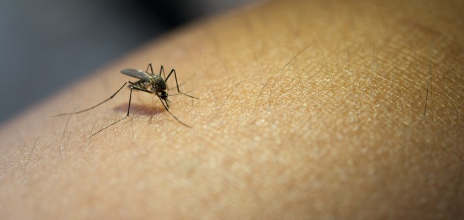 vacuna contra la malaria