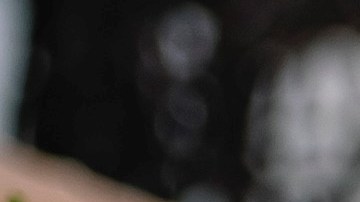 Las carnes rojas y vegetales de hojas verdes son ricos en hierro