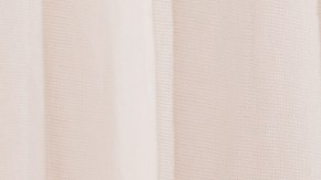 tener un gato en casa