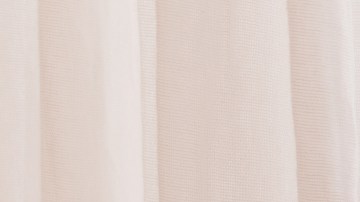 tener un gato en casa