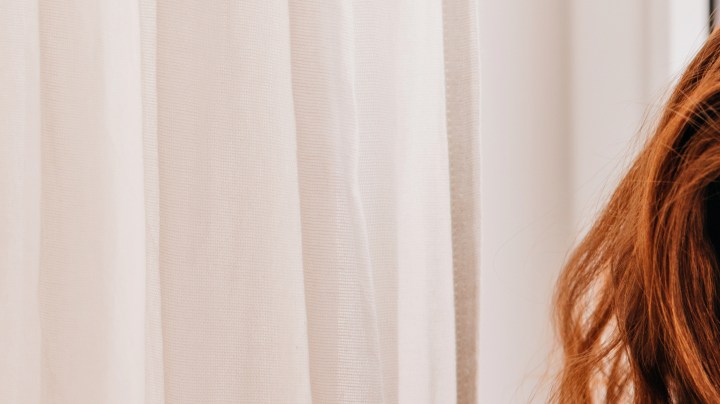 tener un gato en casa