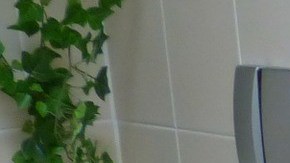 ¿Cómo puedes contagiarte de COVID en baños públicos? Nuevo estudio lo explica