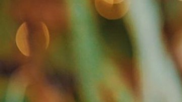 vitaminas vitafusion