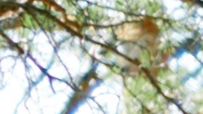 Comer sano y hacer ejercicios es fundamental para estar saludable