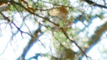 Comer sano y hacer ejercicios es fundamental para estar saludable