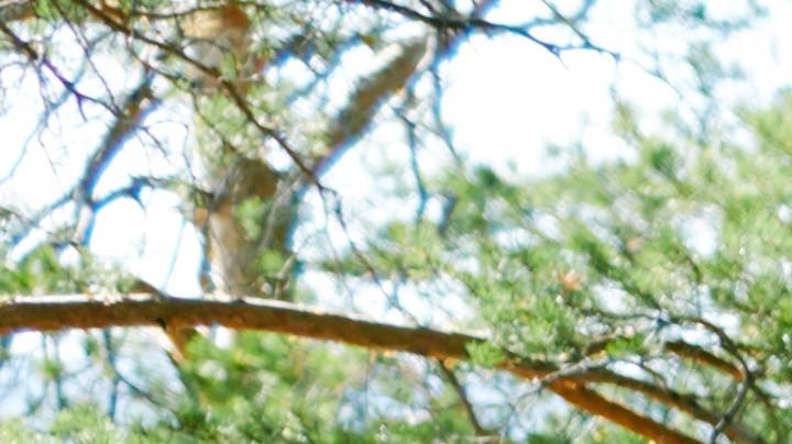 Comer sano y hacer ejercicios es fundamental para estar saludable