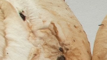 El estudio en el que se explica por qué incluir hongos en nuestra dieta puede reducir casi a la mitad el riesgo de desarrollar cáncer