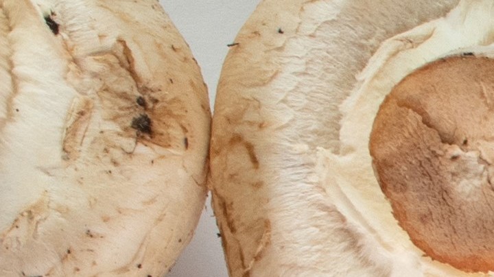 El estudio en el que se explica por qué incluir hongos en nuestra dieta puede reducir casi a la mitad el riesgo de desarrollar cáncer