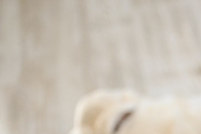 Por qué las mujeres embarazadas y en post-parto se sienten más deprimidas y ansiosas durante la pandemia por COVID-19