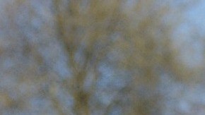 Por qué dormir poco después de los 50 años nos hace más propensos a padecer de demencia