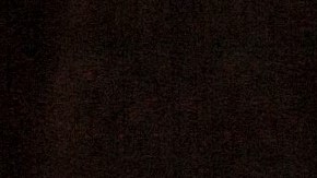 Cómo vivir el presente según la ciencia