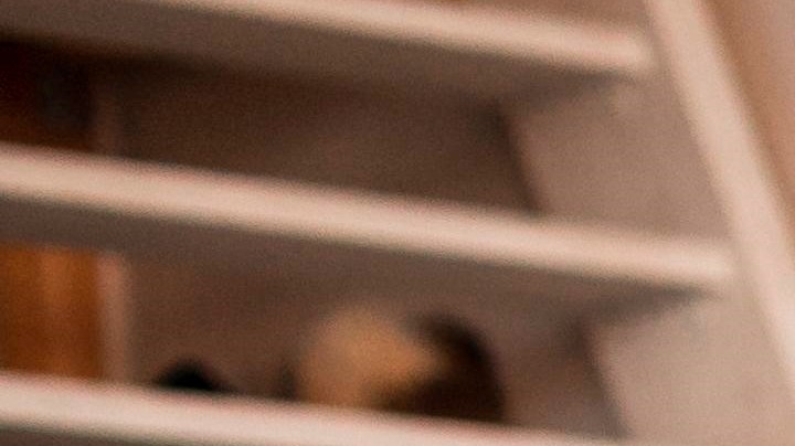 Por qué hay que evitar preguntar a un niño qué quiere ser de grande