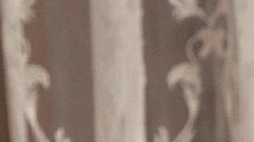 Día Internacional de la Familia