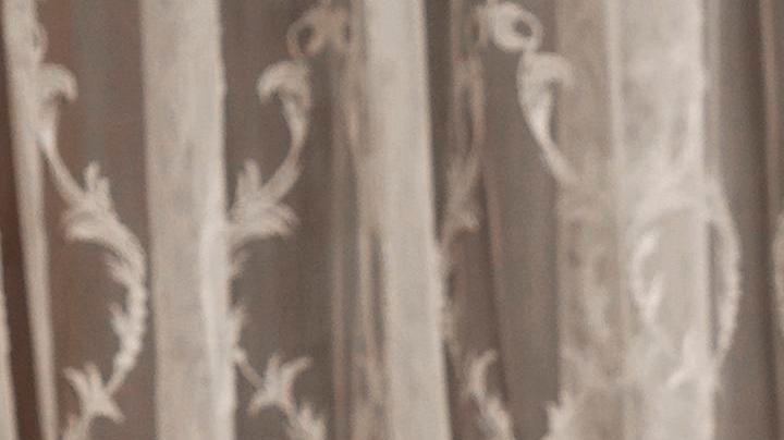 Día Internacional de la Familia