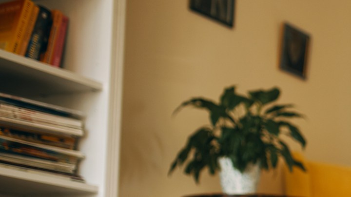 día mundial del asma