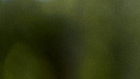 cuántos años puede vivir una persona